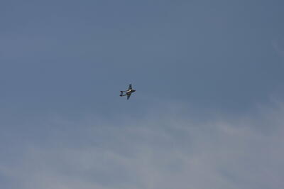 IMG 5928